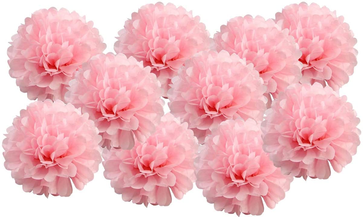 Pack Of 10 Tissue Paper Flower Ball Pom Pom Party Decoration Indoor Outdoor 6'' 8'' 10'' 12'' 14'' (Baby Pink, 6'')